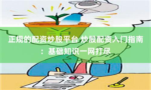 正规的配资炒股平台 炒股配资入门指南：基础知识一网打尽